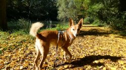 Mana_Schlosspark Puchau_07.10.2022